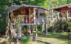 La cabane de l'oiseau